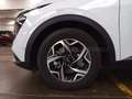 Kia Sportage Sportage 1.6 crdi mhev Business dct Bianco - thumbnail 6