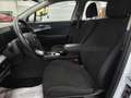 Kia Sportage Sportage 1.6 crdi mhev Business dct Bianco - thumbnail 13
