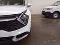 Kia Sportage Sportage 1.6 crdi mhev Business dct Bianco - thumbnail 18