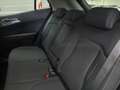 Kia Sportage Sportage 1.6 crdi mhev Business dct Bianco - thumbnail 14