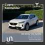 CUPRA Formentor 2.0 TDI DSG 4Drive 110KW/150CV (TETTO APRIBILE) Bianco - thumbnail 1