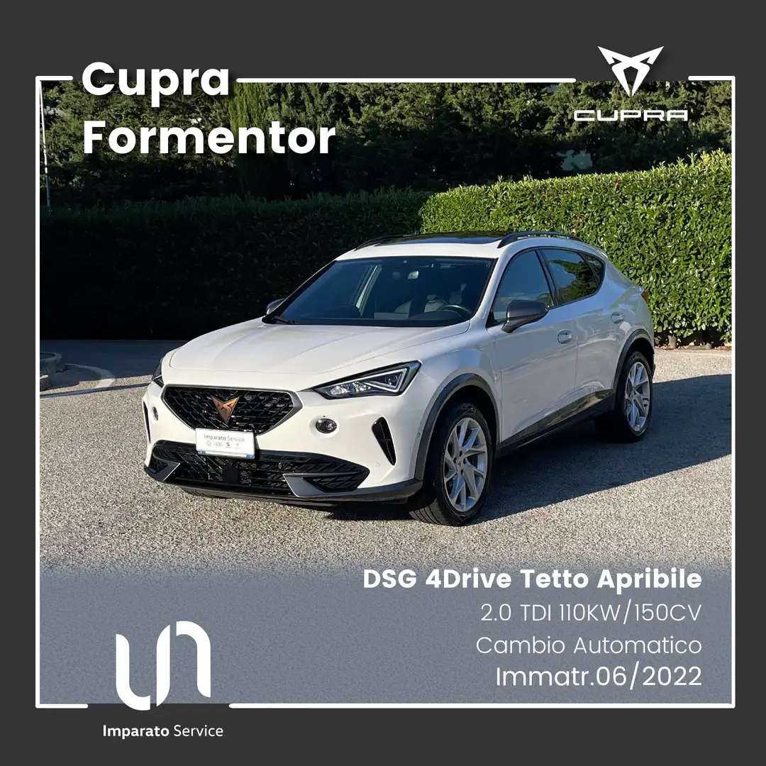 CUPRA Formentor 2.0 TDI DSG 4Drive 110KW/150CV (TETTO APRIBILE) Bianco - 1