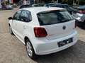 Volkswagen Polo V 1.2 TSI Highline Aut. Shz. Klimaaut. Blanc - thumbnail 7
