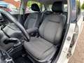 Volkswagen Polo V 1.2 TSI Highline Aut. Shz. Klimaaut. Blanc - thumbnail 10