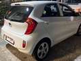Kia Picanto Picanto II 2011 1.0 City 5p my13 - thumbnail 4