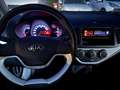 Kia Picanto Picanto II 2011 1.0 City 5p my13 - thumbnail 8