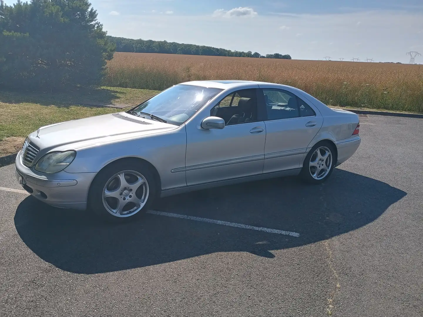 Mercedes-Benz S 500 Gris - 2