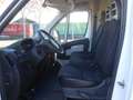 Citroen Jumper Fg. 2.2BlueHDi 35 L2H2 S&S 165 Weiß - thumbnail 12