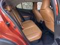 Lexus UX 250h UX 250h Luxury Line met LPG installatie Brun - thumbnail 8