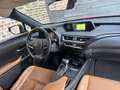 Lexus UX 250h UX 250h Luxury Line met LPG installatie Brun - thumbnail 10