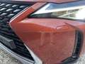 Lexus UX 250h UX 250h Luxury Line met LPG installatie Brun - thumbnail 29