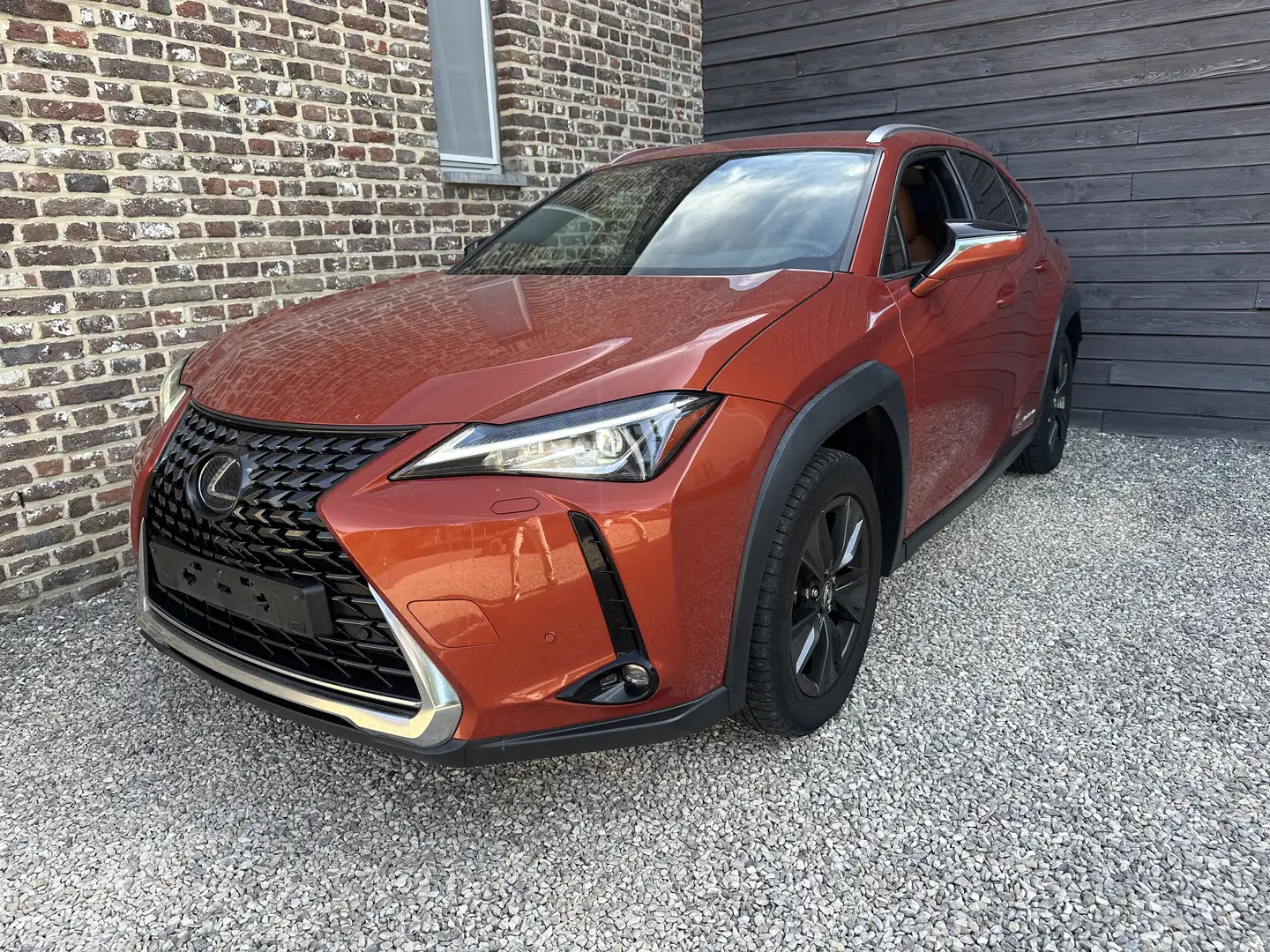 Lexus UX 250h UX 250h Luxury Line met LPG installatie Brun - 1