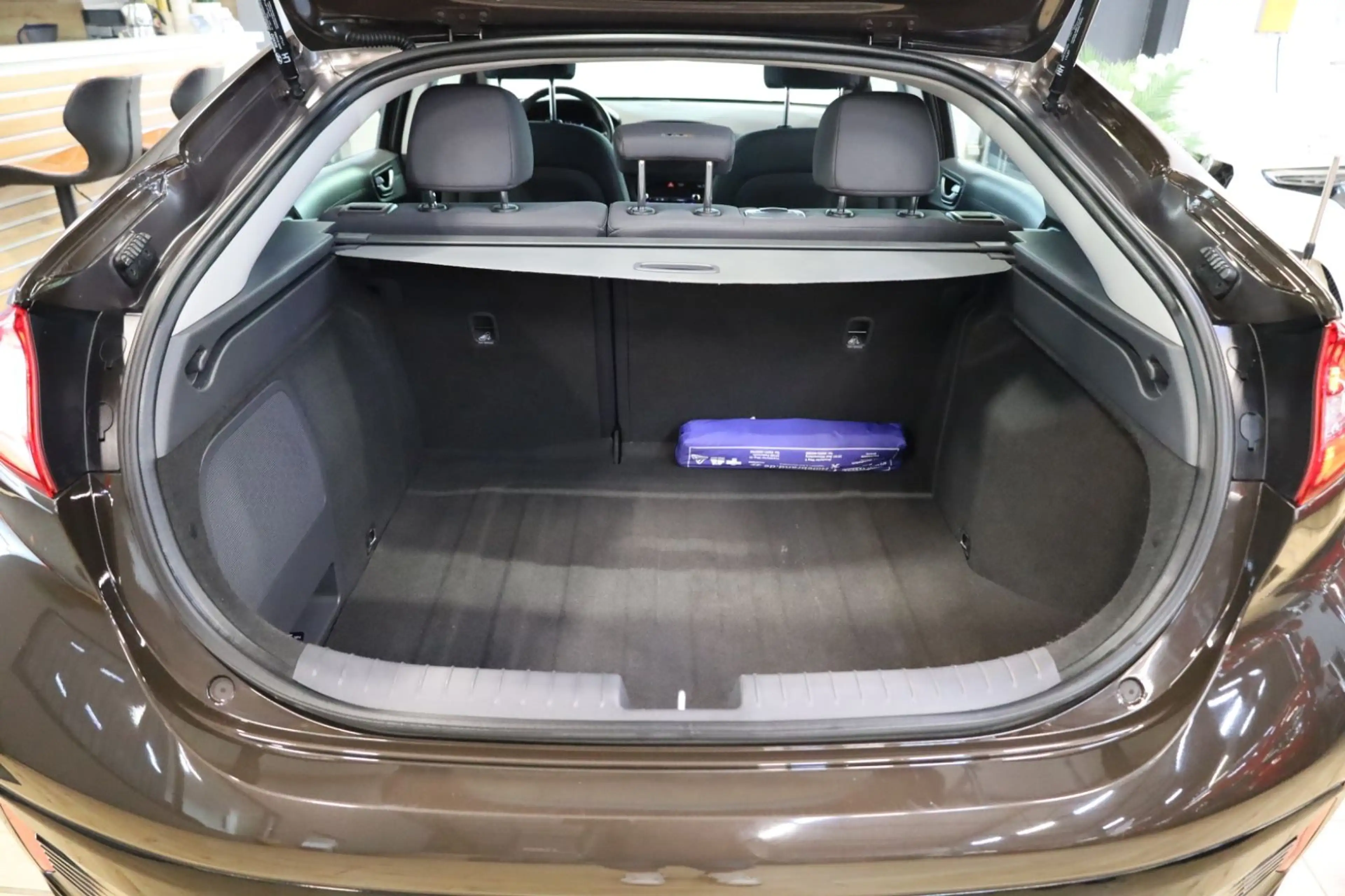 Hyundai IONIQ Ioniq Style Hybrid/ACC/Navi/Kamera /DAB — photo 8