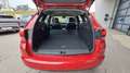 Opel Astra ST 1,5 CDTI Elegance Aut. Rot - thumbnail 25