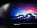 Ford Puma ST-Line X ACC BLIS Kamera WinterP LED Navi Grau - thumbnail 23