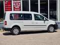 Volkswagen Caddy Maxi Trendline 4Motion 7 SITZER Weiß - thumbnail 7