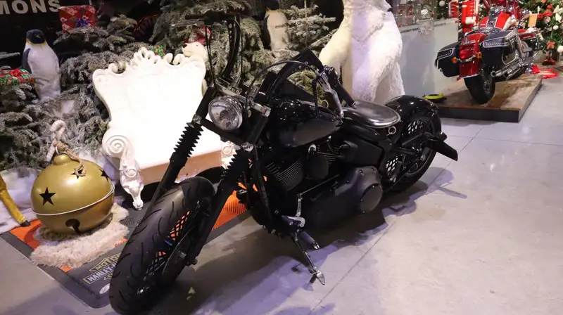 Harley-Davidson Softail