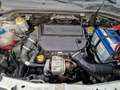 Fiat Doblo Cargo 1.3 MultiJet Actual MOTOR DEFECT - thumbnail 14