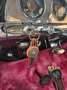 Plymouth Sonstige Businness coupe Deluxe Schwarz - thumbnail 14