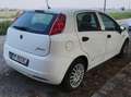 Fiat Punto Punto 5p 1.2 Classic Bianco - thumbnail 4