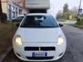 Fiat Punto Punto 5p 1.2 Classic Bianco - thumbnail 2