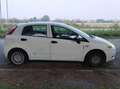 Fiat Punto Punto 5p 1.2 Classic Bianco - thumbnail 5