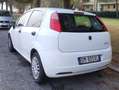 Fiat Punto Punto 5p 1.2 Classic Bianco - thumbnail 3