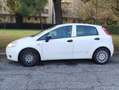 Fiat Punto Punto 5p 1.2 Classic Bianco - thumbnail 1