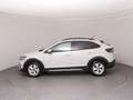 Volkswagen Taigo Life TSI Grau - thumbnail 32
