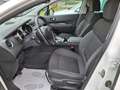 Peugeot 3008 BlueHDi 120 S&S Allure Bianco - thumbnail 10