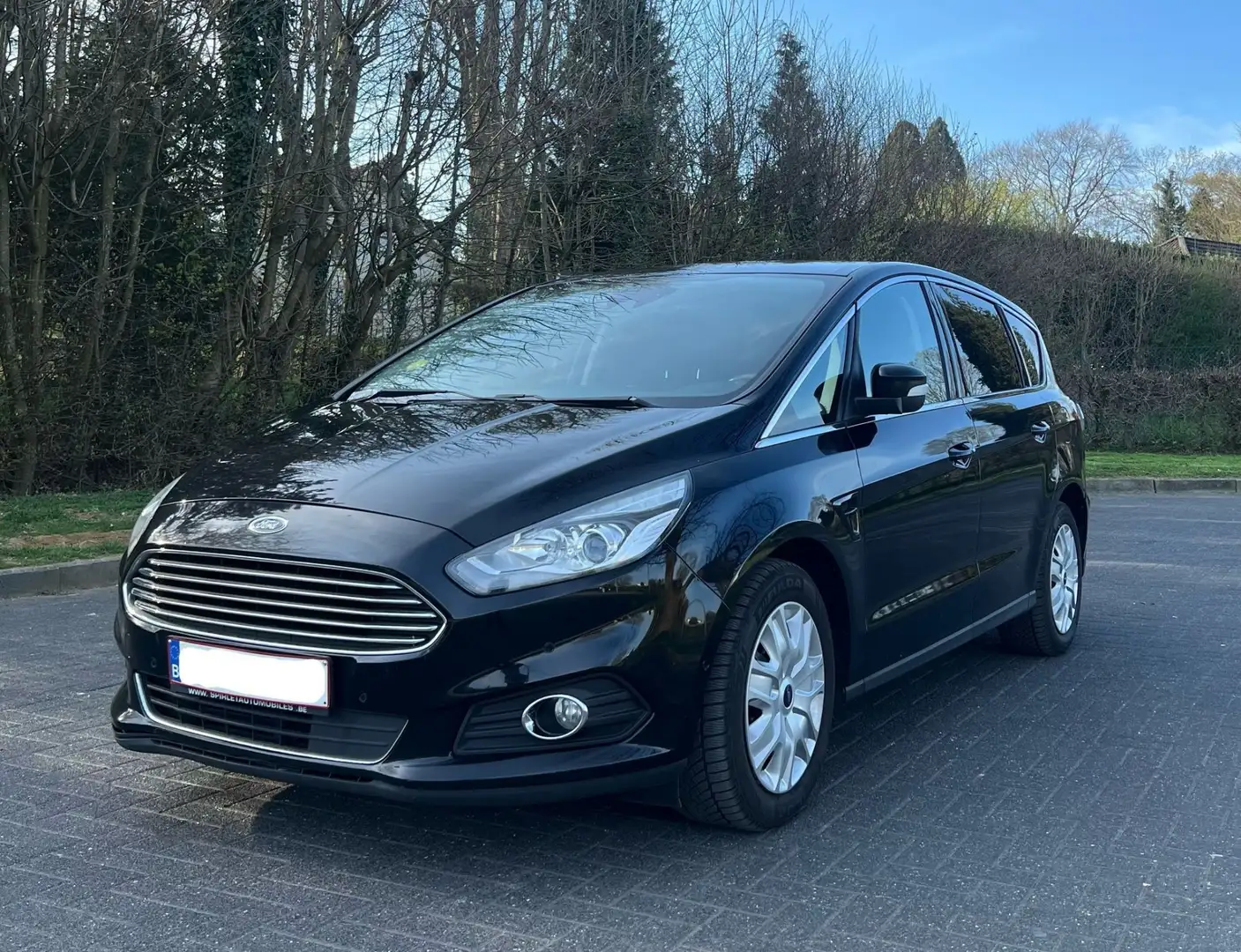 Ford S-Max 2.0 TDCi Trend - 1