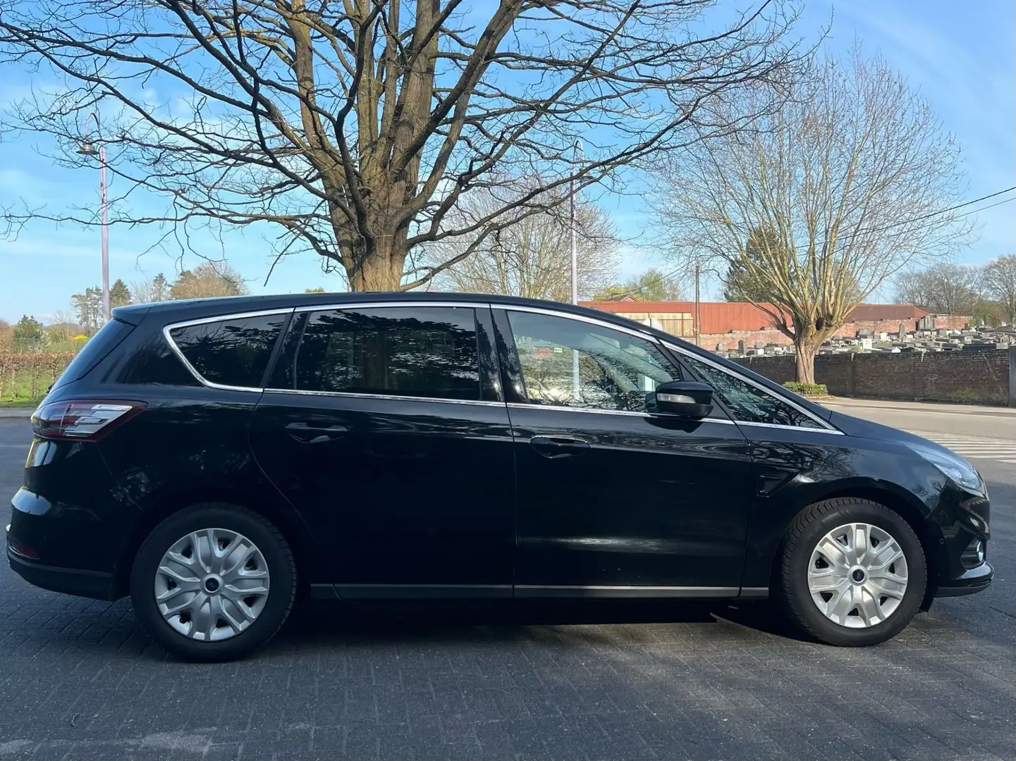 Ford S-Max 2.0 TDCi Trend - 2