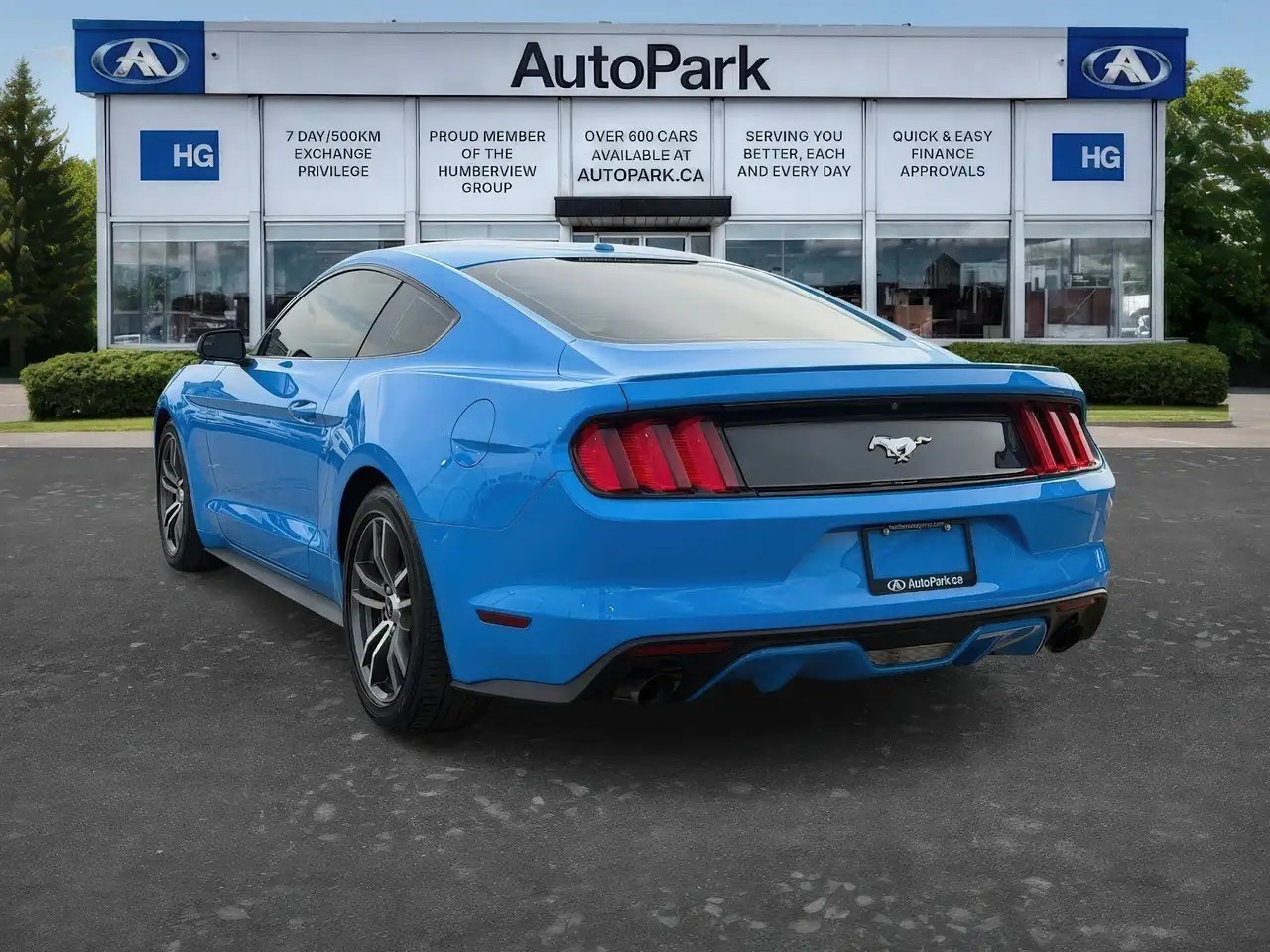 Ford Mustang fotografie Ford Mustang