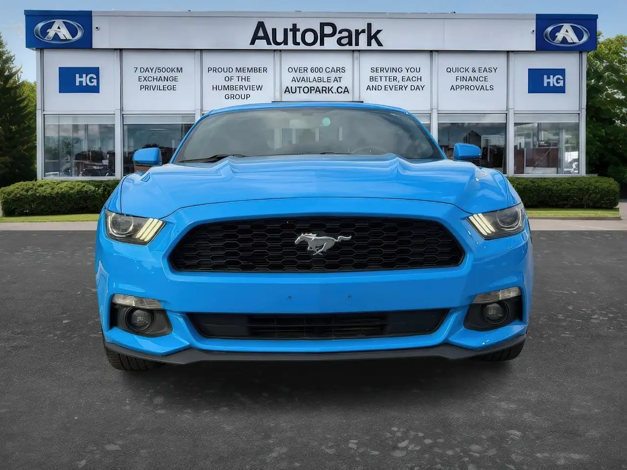 Ford Mustang fotografie Ford Mustang