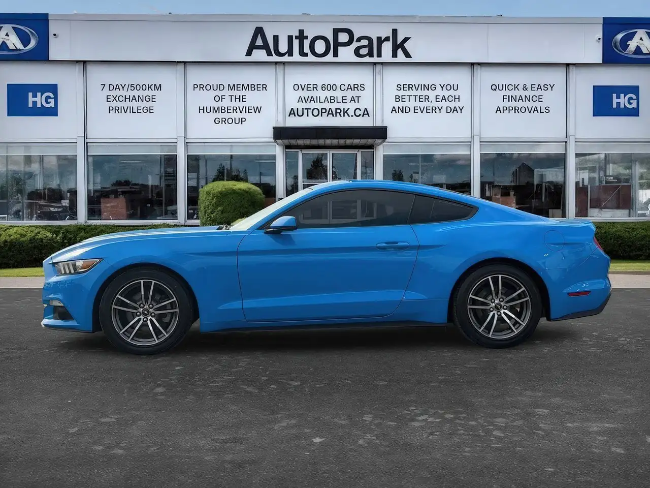 Ford Mustang fotografie Ford Mustang