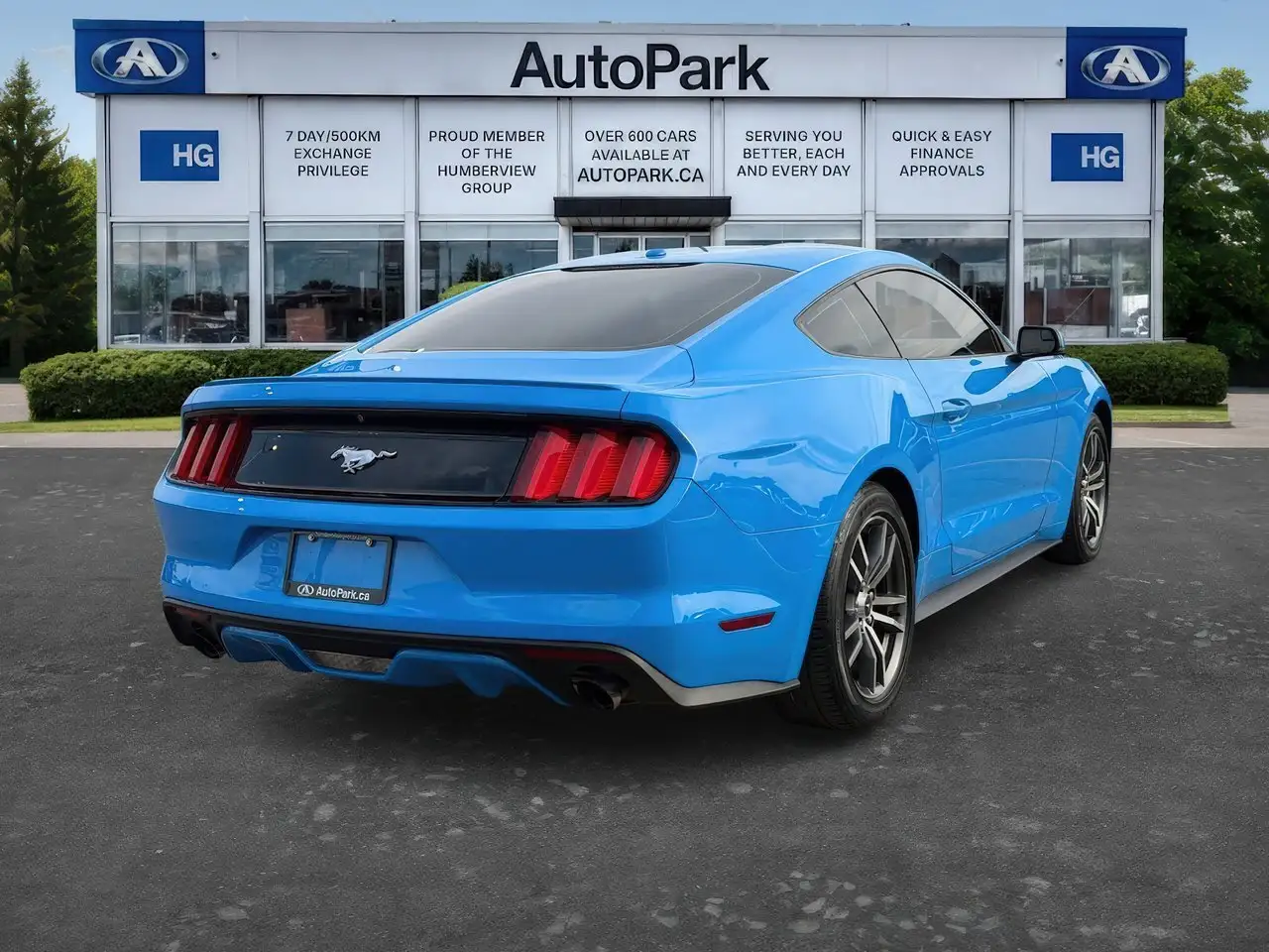 Ford Mustang fotografie Ford Mustang