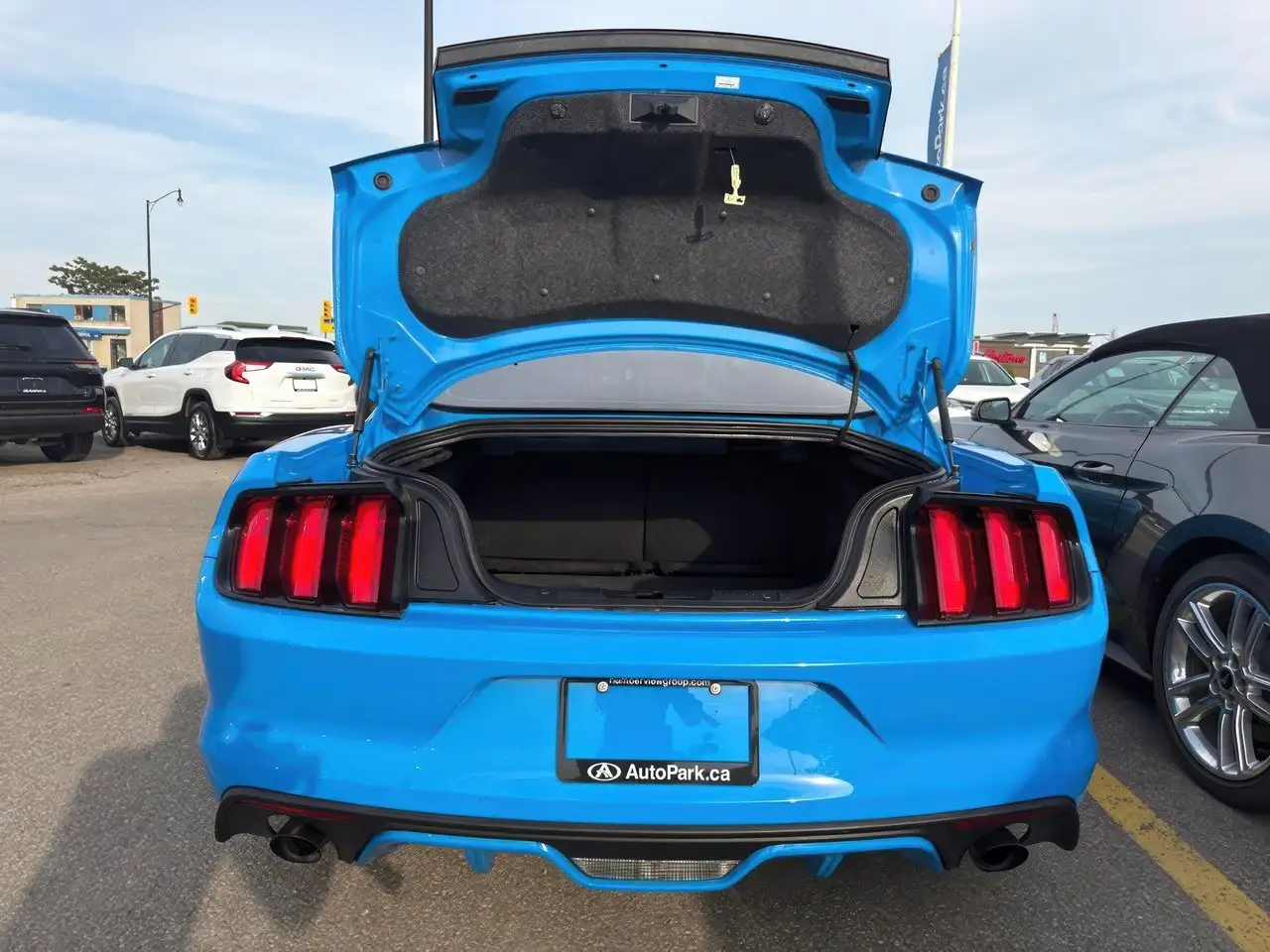 Ford Mustang fotografie Ford Mustang