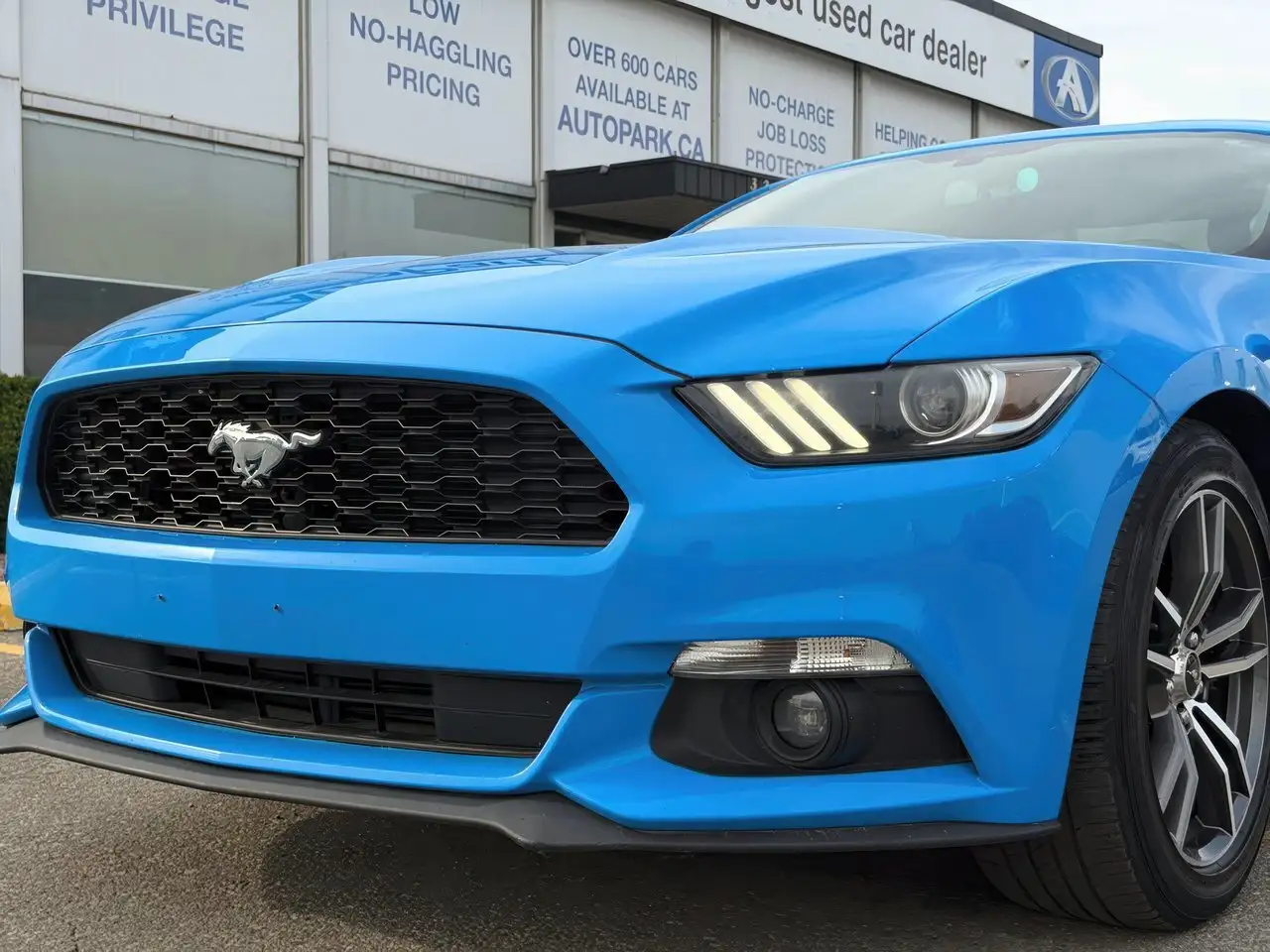 Ford Mustang fotografie Ford Mustang