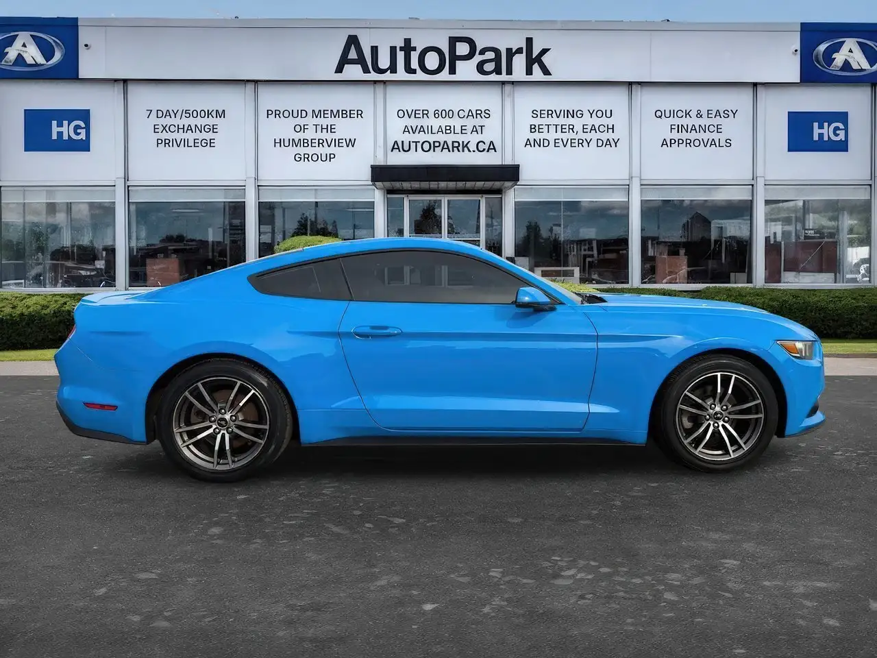 Ford Mustang fotografie Ford Mustang
