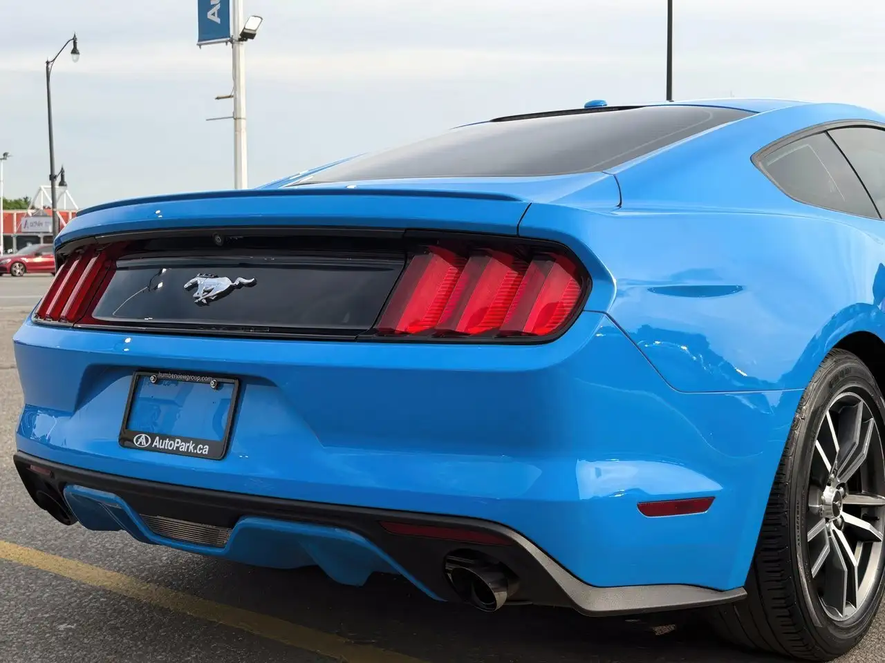 Ford Mustang fotografie Ford Mustang