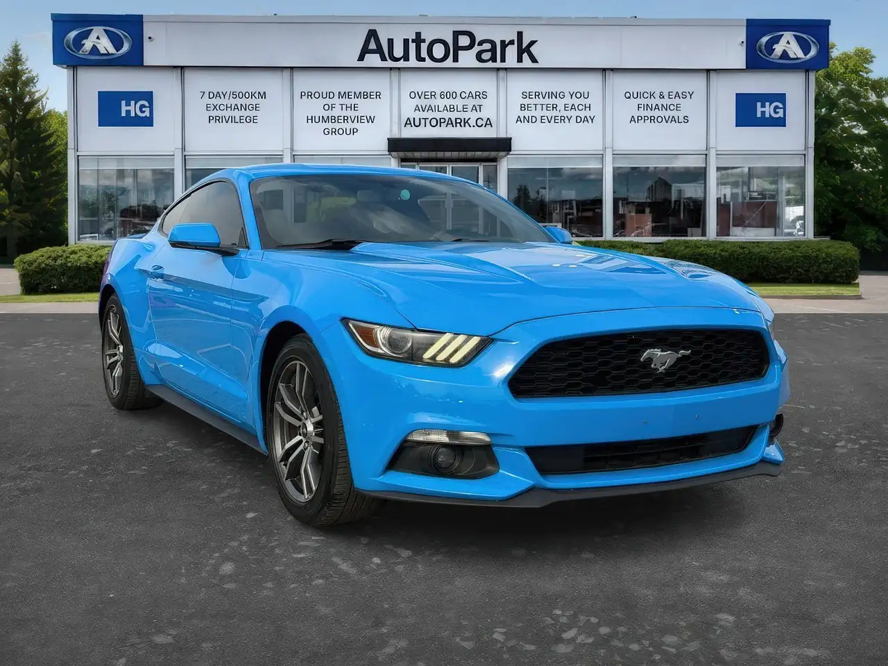 Ford Mustang fotografie Ford Mustang