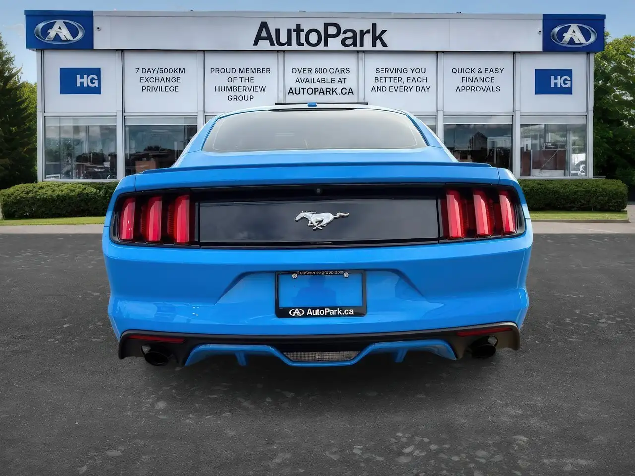Ford Mustang fotografie Ford Mustang