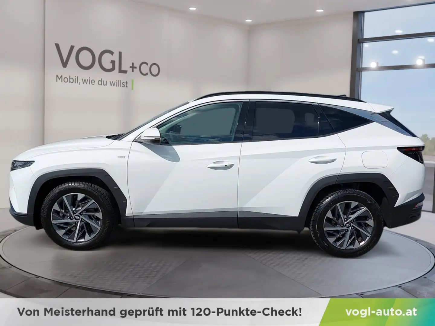 Hyundai TUCSON 1.6 T GDI 48V MHEV Trend Weiß - 2
