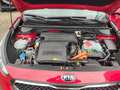 Kia Niro 1.6 GDI HEV 2WD Aut. Spirit Rojo - thumbnail 10
