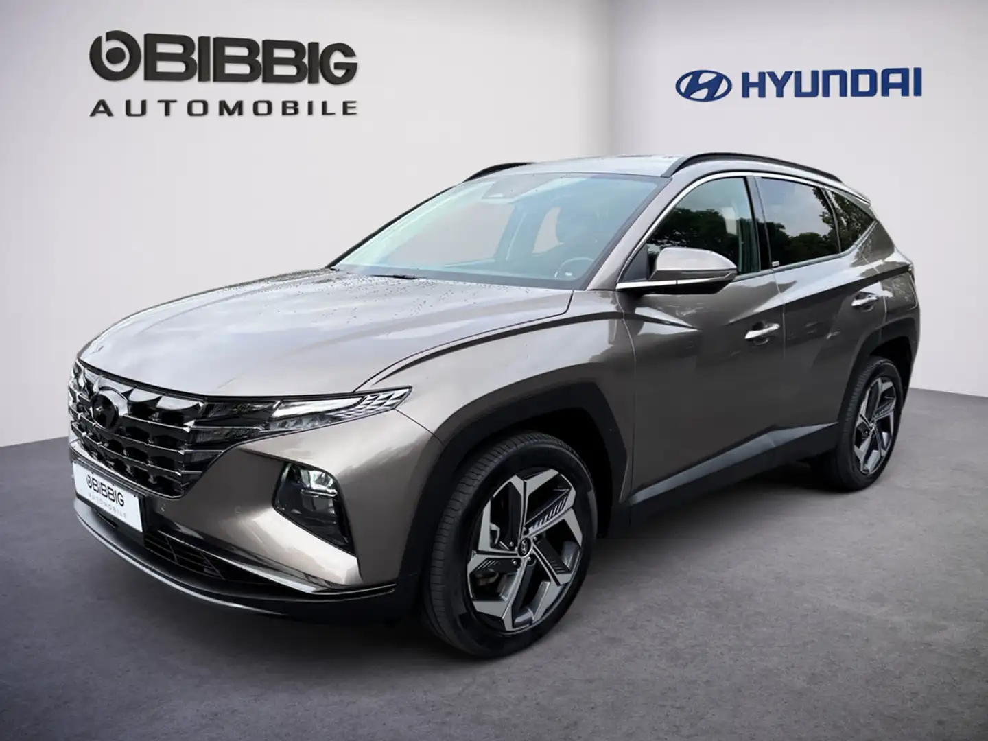 Hyundai TUCSON 1.6 Trend Hybrid 4WD Bronze - 1