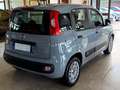 Fiat Panda New 1.2 69 cv. EasyPower EASY (Imp GPL) Grigio - thumbnail 4