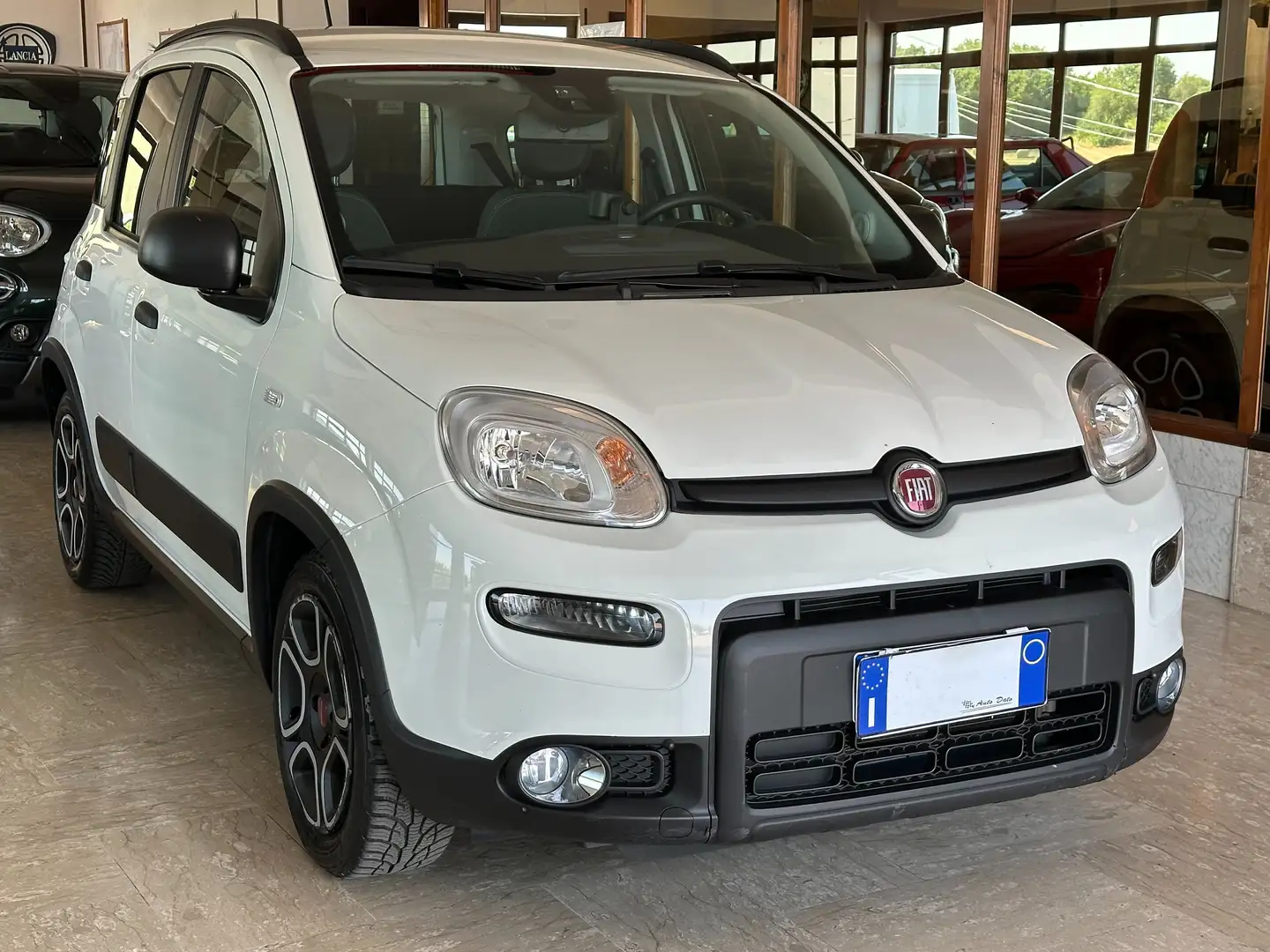 Fiat Panda New 1.2 69 cv. EasyPower CITY LIFE (Imp GPL) Bianco - 2