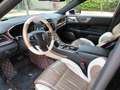 Lincoln Continental 3.0 V6 Biturbo  Sonder Leder/Lack Shelby Select Vo Brun - thumbnail 10