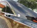 Lincoln Continental 3.0 V6 Biturbo  Sonder Leder/Lack Shelby Select Vo Kahverengi - thumbnail 8