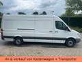 Mercedes-Benz Sprinter II Kasten Maxi XL 316 CDI - TÜV 10.26 Bianco - thumbnail 2